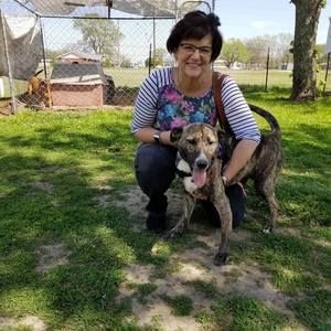 Meet your Posher, Donna